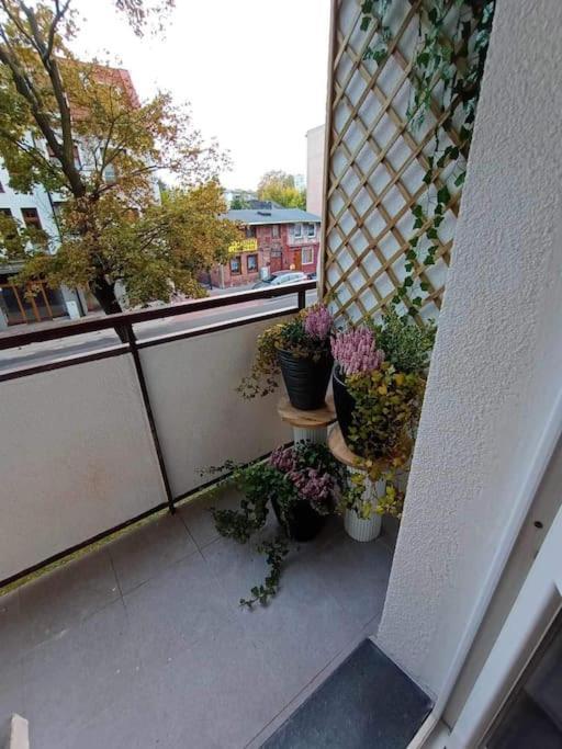 Stary ToruńApartament Podgorna 19アパートメント エクステリア 写真